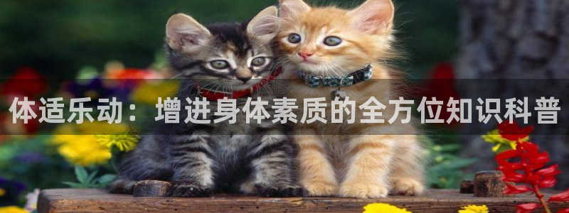球客岛：体适乐动：增进身体素质的全方位知识科普