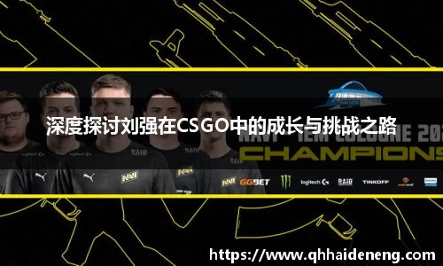 深度探讨刘强在CSGO中的成长与挑战之路