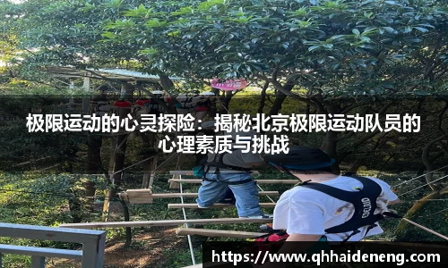 星空·综合体育官方网站