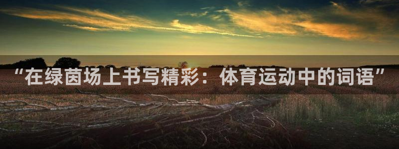 球客岛：“在绿茵场上书写精彩：体育运动中的词语”