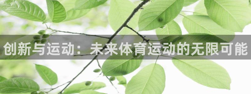 球客岛：创新与运动：未来体育运动的无限可能