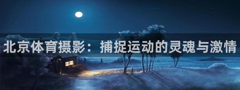 球客岛：北京体育摄影：捕捉运动的灵魂与激情