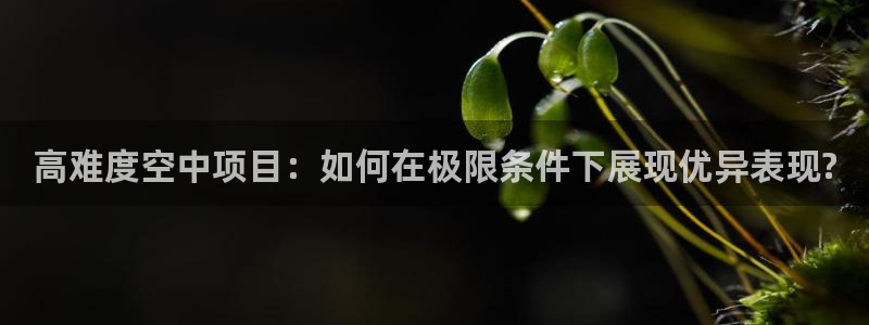 球客岛：高难度空中项目：如何在极限条件下展现优异表现?