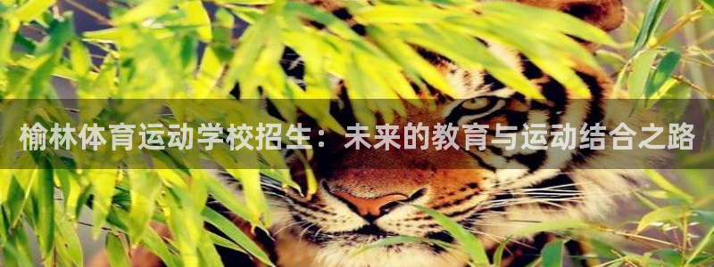 球客岛：榆林体育运动学校招生：未来的教育与运动结合之路