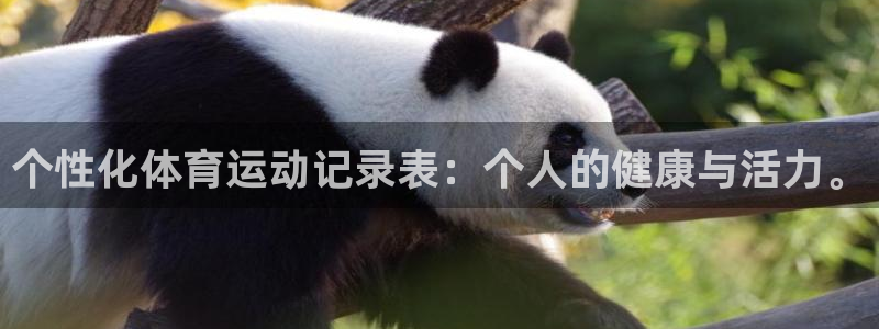 球客岛：个性化体育运动记录表：个人的健康与活力。