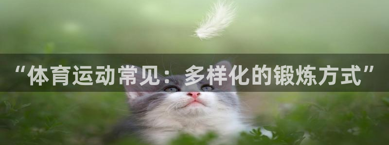 球客岛：“体育运动常见：多样化的锻炼方式”