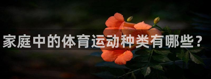 球客岛：家庭中的体育运动种类有哪些？
