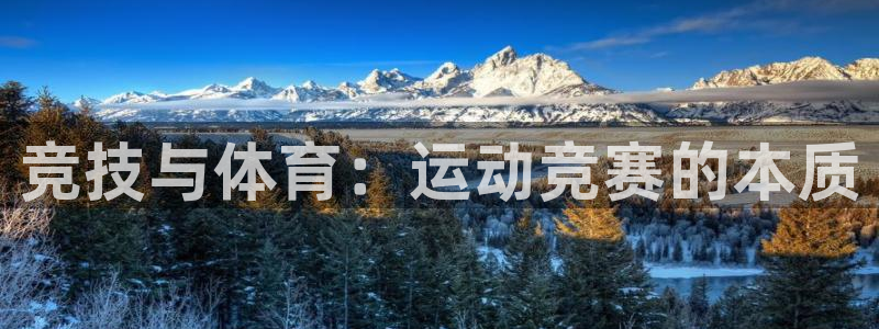 球客岛：竞技与体育：运动竞赛的本质