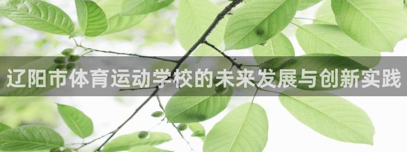 球客岛：辽阳市体育运动学校的未来发展与创新实践